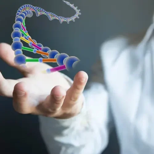 What is Hormone Replacement Therapy? An Expert’s Guide to Hormone Optimization